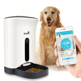 Automatic Pet Feeder for Cats and Puppies Smart Food Dispenser