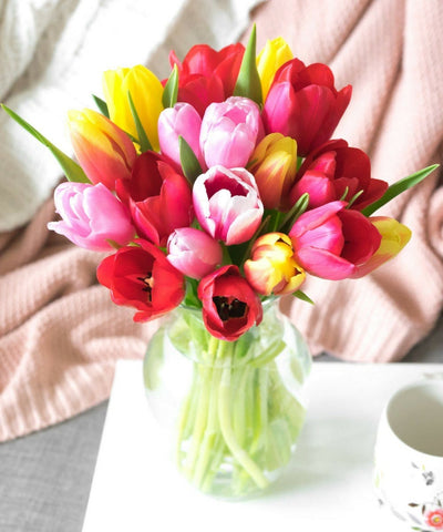 Sunshine Rainbow Tulips - 20 Stems